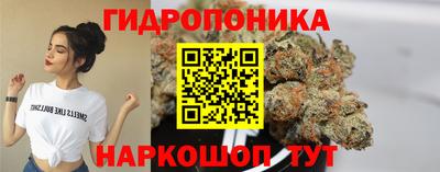 спиды Гай