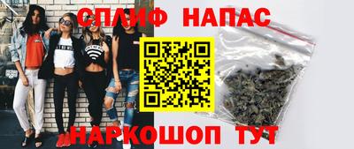 спиды Гай