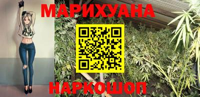 спиды Гай