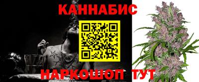 спиды Гай