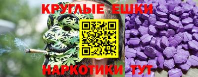 спиды Гай