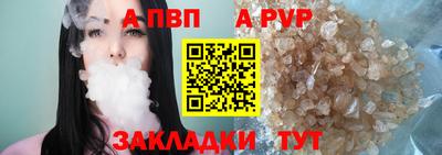спиды Гай