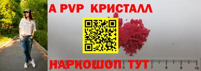 спиды Гай
