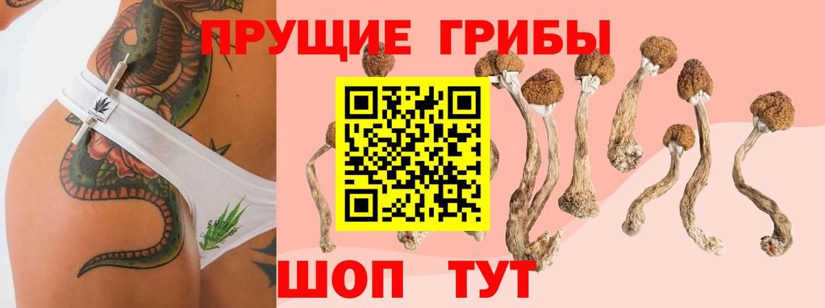 Галлюциногенные грибы ЛСД Барабинск